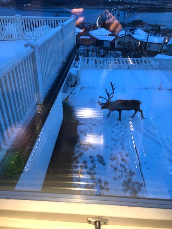 Moderne Og Trivelig Leilighet, Med Unik Utsikt Tromsø Exteriér fotografie